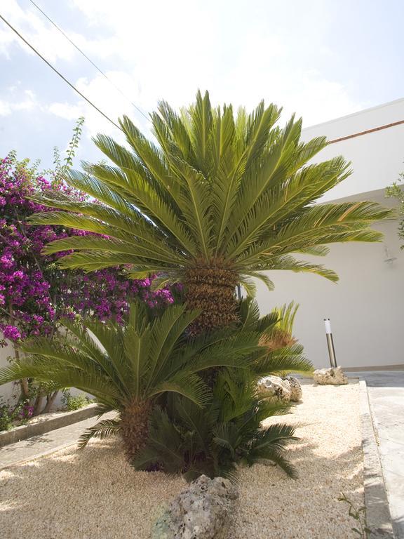 Campi Salentina B&B Viro المظهر الخارجي الصورة