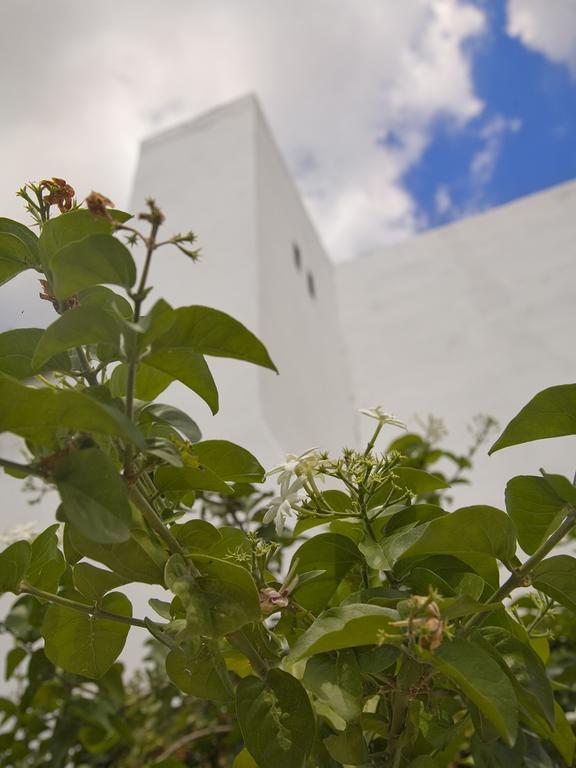 Campi Salentina B&B Viro المظهر الخارجي الصورة
