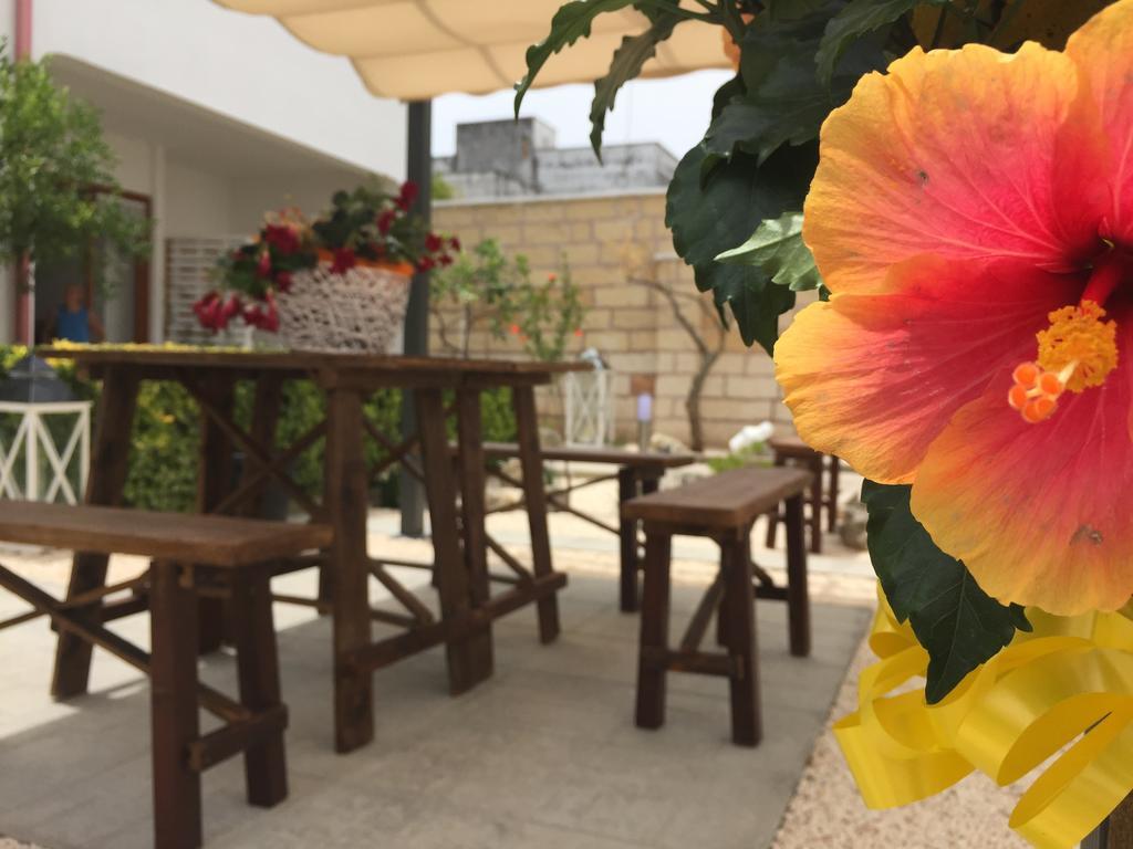 Campi Salentina B&B Viro المظهر الخارجي الصورة
